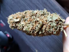 User uploaded image of Critical Bilbo