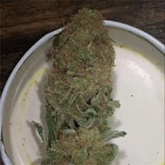 User uploaded image of Critical Haze