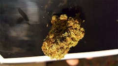 User uploaded image of Critical Haze