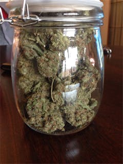 User uploaded image of Critical Haze