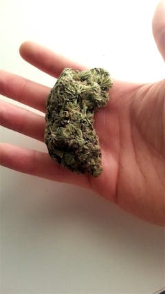 User uploaded image of Critical Haze