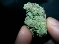 User uploaded image of Critical Hog