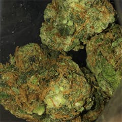 User uploaded image of Critical Jack