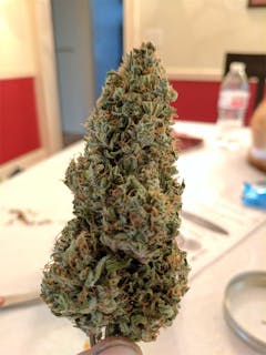 User uploaded image of Critical Jack