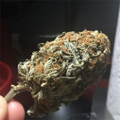 User uploaded image of Critical Kali Mist