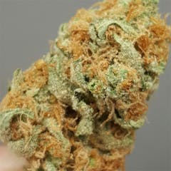 User uploaded image of Critical Kali Mist