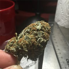 User uploaded image of Critical Kali Mist