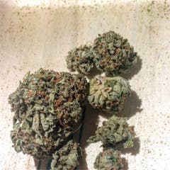 User uploaded image of Critical Kush