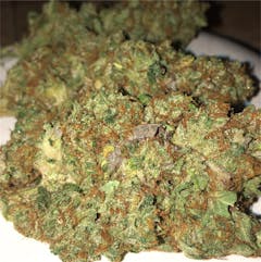 User uploaded image of Critical Kush