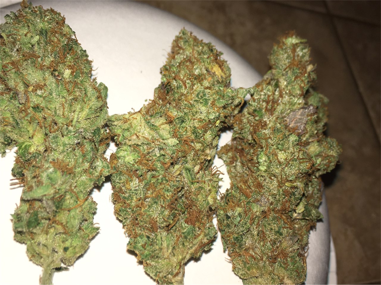 Critical Kush Cannabis Strain Information