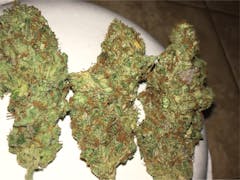 User uploaded image of Critical Kush