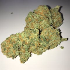 User uploaded image of Critical Kush