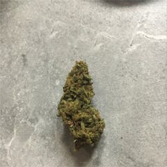 User uploaded image of Critical Mass