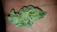 User uploaded image of Critical Skunk