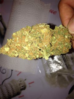 User uploaded image of Critical Widow