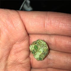 User uploaded image of Critical Widow