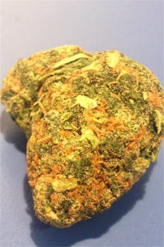 User uploaded image of Critical Widow