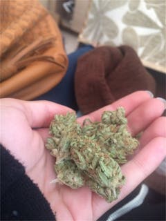 User uploaded image of Critical Widow