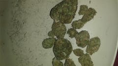 User uploaded image of Critters Cookies