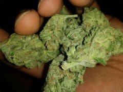 User uploaded image of Crouching Tiger Hidden Alien