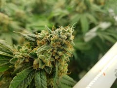 User uploaded image of Crown OG