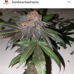 User uploaded image of Crown Royale