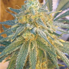 User uploaded image of Crown Royale