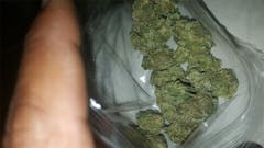 User uploaded image of Crunch Berry Kush