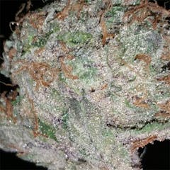 User uploaded image of Crunch Berry Kush