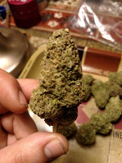 User uploaded image of Crypt