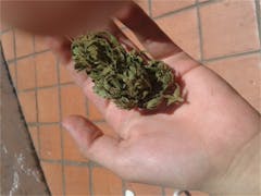 User uploaded image of Crystal Gayle