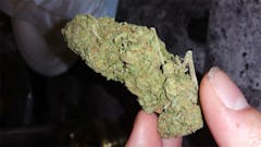 User uploaded image of Crystalberry