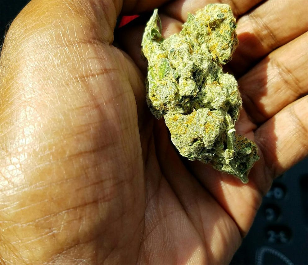 Photos of Dairy Queen Weed Strain Buds Leafly