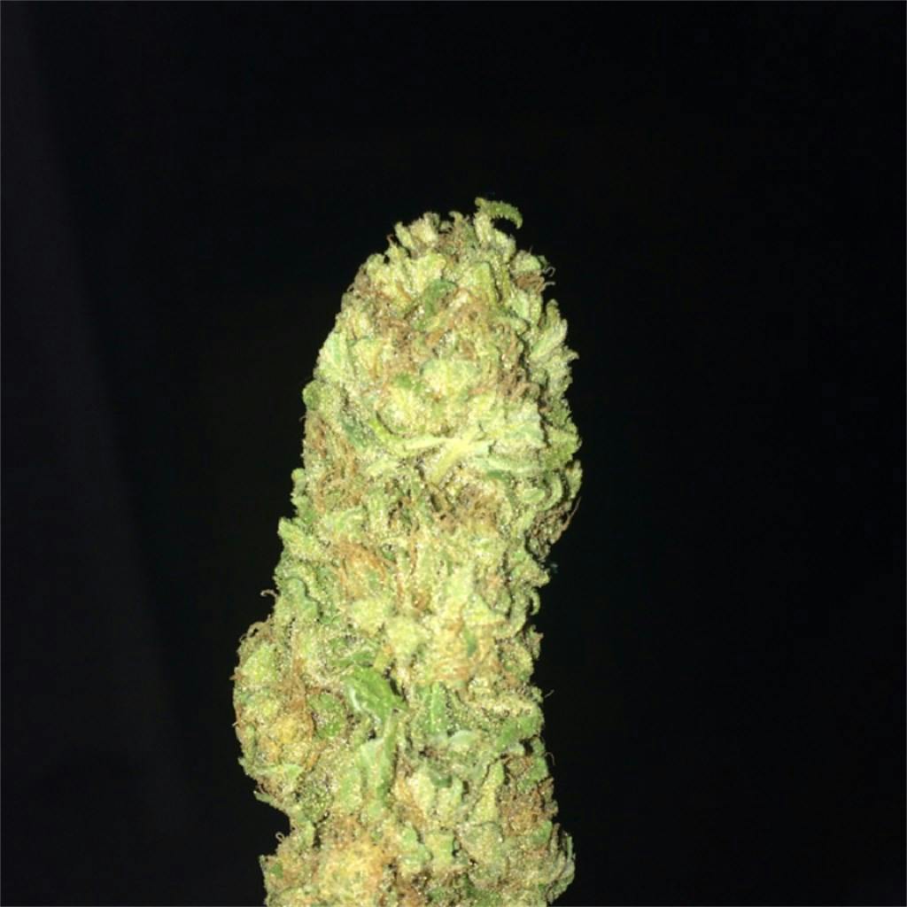 Dairy Queen Weed Strain Information Leafly