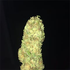 User uploaded image of Dairy Queen