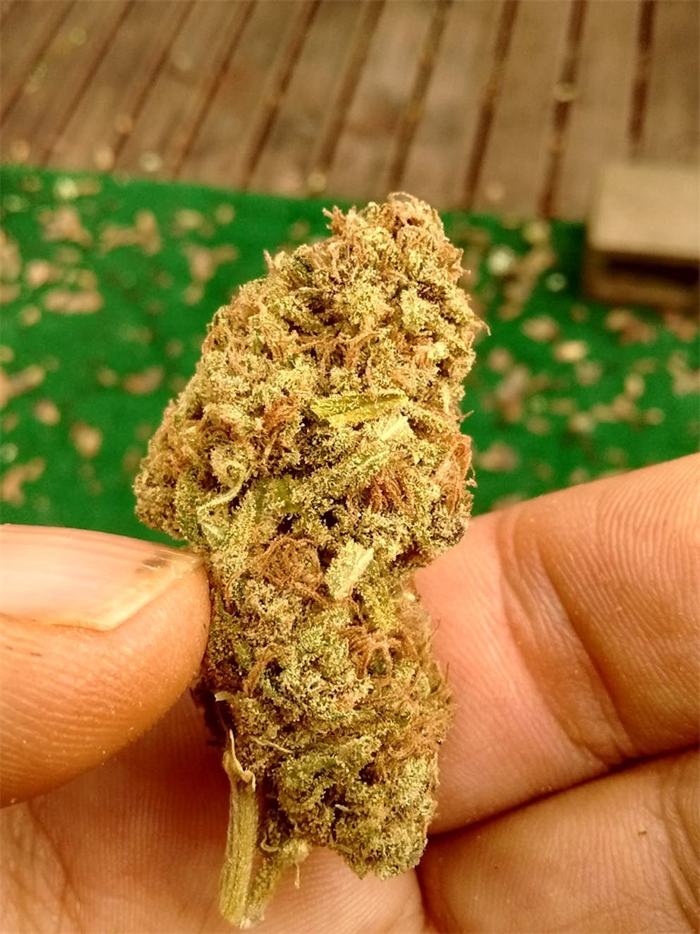 Photos of Dairy Queen Weed Strain Buds Leafly