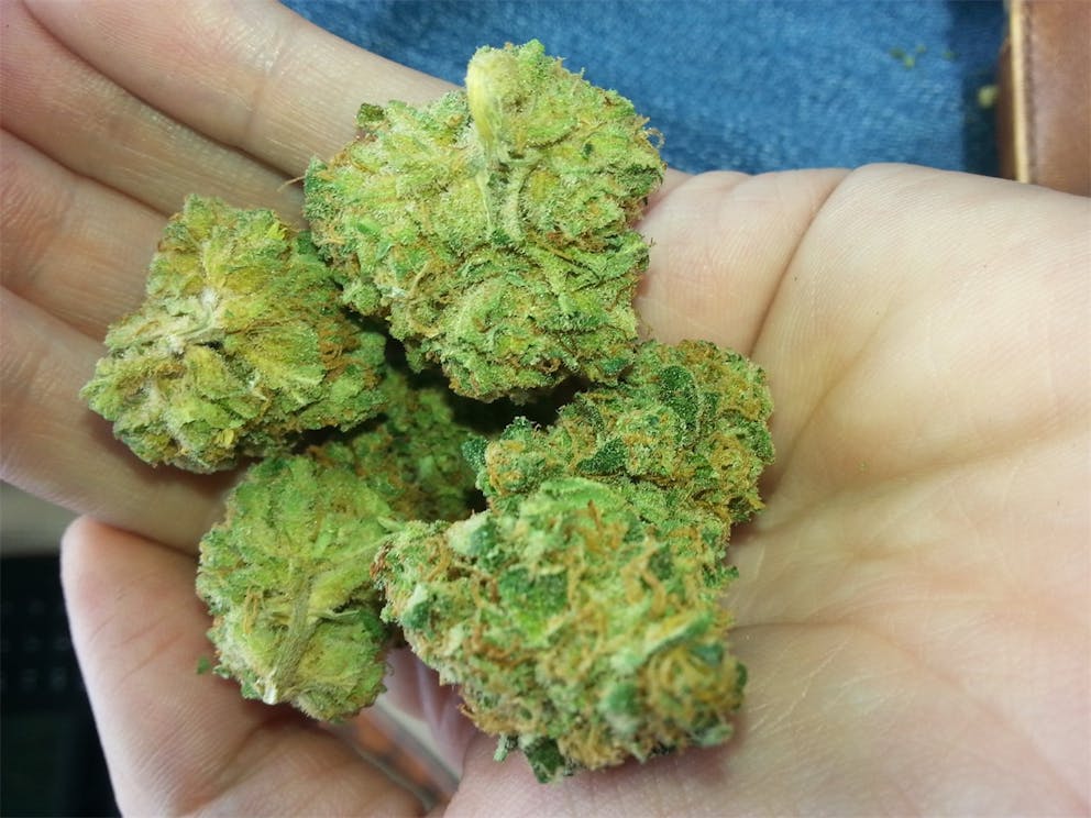 Photos of Dairy Queen Weed Strain Buds Leafly