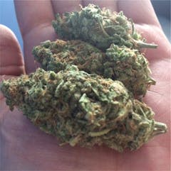 User uploaded image of Damnesia