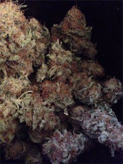 User uploaded image of Damnesia