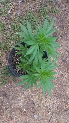 User uploaded image of Dance World