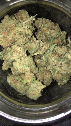 User uploaded image of Dancehall