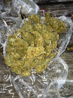 User uploaded image of Dancehall