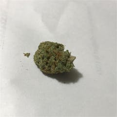 User uploaded image of Dank Sinatra