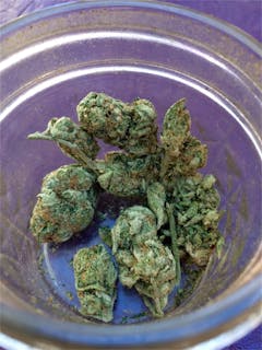 User uploaded image of Danky Doodle