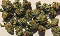 User uploaded image of Danky Doodle