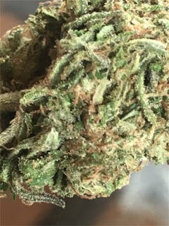 User uploaded image of Danky Doodle