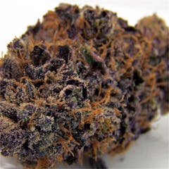 User uploaded image of Dark Star