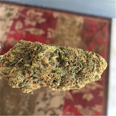 User uploaded image of Dark Star