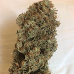 User uploaded image of Dark Star