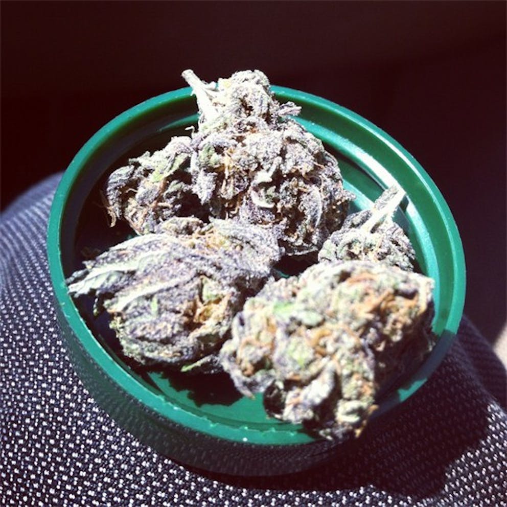 Photos of Darth Vader OG Weed Strain Buds Leafly